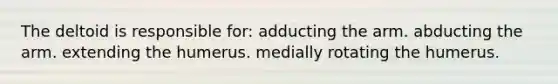 The deltoid is responsible for: adducting the arm. abducting the arm. extending the humerus. medially rotating the humerus.