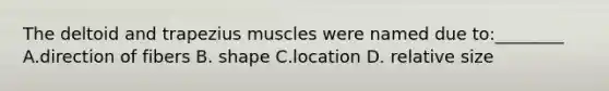 The deltoid and trapezius muscles were named due to:________ A.direction of fibers B. shape C.location D. relative size