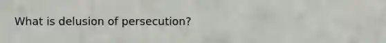 What is delusion of persecution?