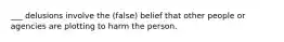 ___ delusions involve the (false) belief that other people or agencies are plotting to harm the person.