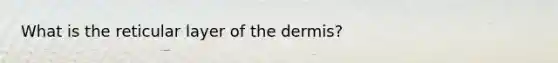 What is the reticular layer of the dermis?