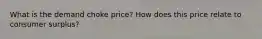 What is the demand choke price? How does this price relate to consumer surplus?