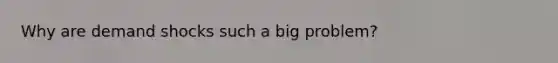 Why are demand shocks such a big problem?