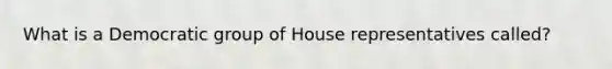 What is a Democratic group of House representatives called?