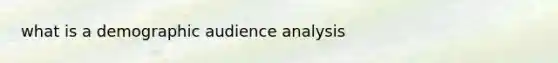 what is a demographic audience analysis