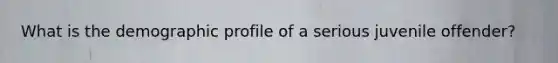 What is the demographic profile of a serious juvenile offender?
