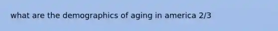 what are the demographics of aging in america 2/3