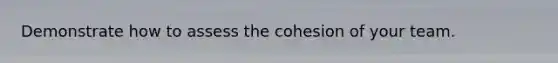Demonstrate how to assess the cohesion of your team.