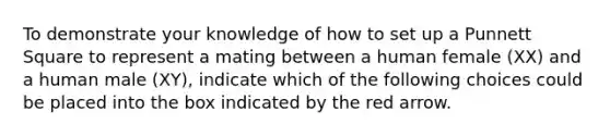 To demonstrate your knowledge of how to set up a Punnett Square to represent a mating between a human female (XX) and a human male (XY), indicate which of the following choices could be placed into the box indicated by the red arrow.