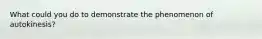 What could you do to demonstrate the phenomenon of autokinesis?