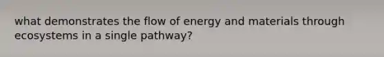 what demonstrates the flow of energy and materials through ecosystems in a single pathway?