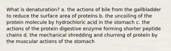 What is denaturation? a. the actions of bile from the gallbladder to reduce the surface area of proteins b. the uncoiling of the protein molecule by hydrochloric acid in the stomach c. the actions of the protein digestive enzyme forming shorter peptide chains d. the mechanical shredding and churning of protein by the muscular actions of the stomach