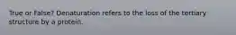 True or False? Denaturation refers to the loss of the tertiary structure by a protein.