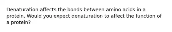 Denaturation affects the bonds between amino acids in a protein. Would you expect denaturation to affect the function of a protein?