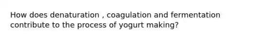 How does denaturation , coagulation and fermentation contribute to the process of yogurt making?