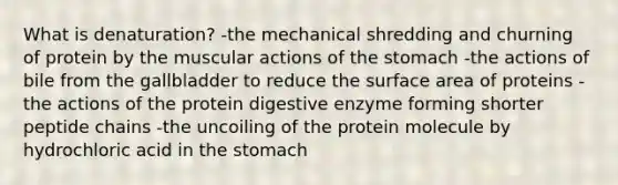 What is denaturation? -the mechanical shredding and churning of protein by the muscular actions of the stomach -the actions of bile from the gallbladder to reduce the surface area of proteins -the actions of the protein digestive enzyme forming shorter peptide chains -the uncoiling of the protein molecule by hydrochloric acid in the stomach