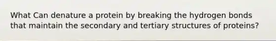 What Can denature a protein by breaking the hydrogen bonds that maintain the secondary and tertiary structures of proteins?