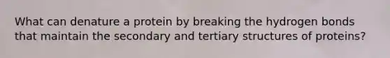 What can denature a protein by breaking the hydrogen bonds that maintain the secondary and tertiary structures of proteins?