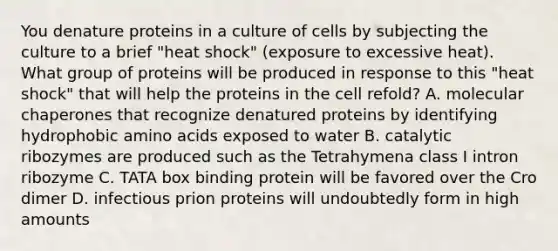 You denature proteins in a culture of cells by subjecting the culture to a brief "heat shock" (exposure to excessive heat). What group of proteins will be produced in response to this "heat shock" that will help the proteins in the cell refold? A. molecular chaperones that recognize denatured proteins by identifying hydrophobic amino acids exposed to water B. catalytic ribozymes are produced such as the Tetrahymena class I intron ribozyme C. TATA box binding protein will be favored over the Cro dimer D. infectious prion proteins will undoubtedly form in high amounts