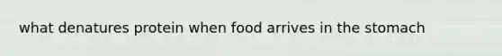 what denatures protein when food arrives in the stomach