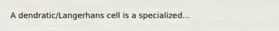 A dendratic/Langerhans cell is a specialized...