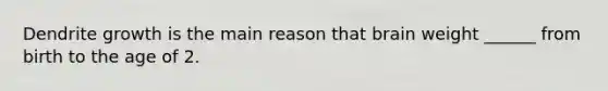 Dendrite growth is the main reason that brain weight ______ from birth to the age of 2.