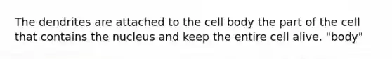 The dendrites are attached to the cell body the part of the cell that contains the nucleus and keep the entire cell alive. "body"