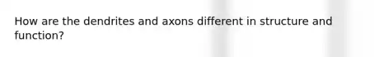 How are the dendrites and axons different in structure and function?