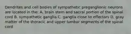 Dendrites and cell bodies of sympathetic preganglionic neurons are located in the: A. brain stem and sacral portion of the spinal cord B. sympathetic ganglia C. ganglia close to effectors D. gray matter of the thoracic and upper lumbar segments of the spinal cord