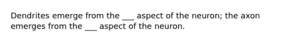 Dendrites emerge from the ___ aspect of the neuron; the axon emerges from the ___ aspect of the neuron.