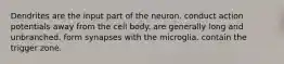 Dendrites are the input part of the neuron. conduct action potentials away from the cell body. are generally long and unbranched. form synapses with the microglia. contain the trigger zone.