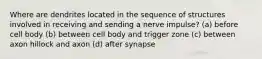 Where are dendrites located in the sequence of structures involved in receiving and sending a nerve impulse? (a) before cell body (b) between cell body and trigger zone (c) between axon hillock and axon (d) after synapse