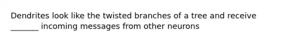 Dendrites look like the twisted branches of a tree and receive _______ incoming messages from other neurons