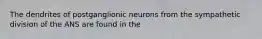 The dendrites of postganglionic neurons from the sympathetic division of the ANS are found in the