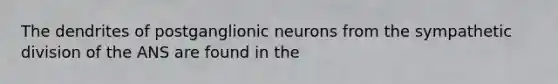 The dendrites of postganglionic neurons from the sympathetic division of the ANS are found in the