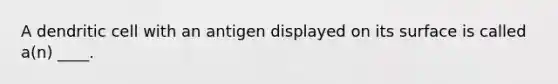 A dendritic cell with an antigen displayed on its surface is called a(n) ____.