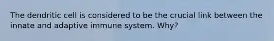 The dendritic cell is considered to be the crucial link between the innate and adaptive immune system. Why?