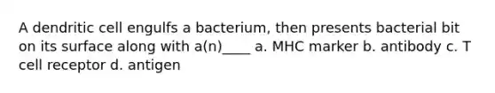 A dendritic cell engulfs a bacterium, then presents bacterial bit on its surface along with a(n)____ a. MHC marker b. antibody c. T cell receptor d. antigen