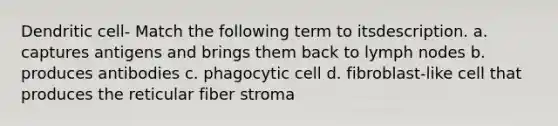 Dendritic cell- Match the following term to itsdescription. a. captures antigens and brings them back to lymph nodes b. produces antibodies c. phagocytic cell d. fibroblast-like cell that produces the reticular fiber stroma