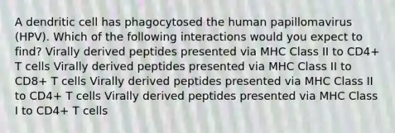 A dendritic cell has phagocytosed the human papillomavirus (HPV). Which of the following interactions would you expect to find? Virally derived peptides presented via MHC Class II to CD4+ T cells Virally derived peptides presented via MHC Class II to CD8+ T cells Virally derived peptides presented via MHC Class II to CD4+ T cells Virally derived peptides presented via MHC Class I to CD4+ T cells