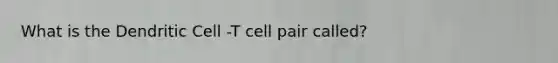 What is the Dendritic Cell -T cell pair called?