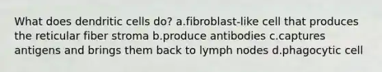 What does dendritic cells do? a.fibroblast-like cell that produces the reticular fiber stroma b.produce antibodies c.captures antigens and brings them back to lymph nodes d.phagocytic cell