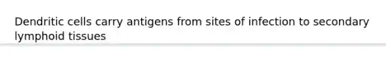 Dendritic cells carry antigens from sites of infection to secondary lymphoid tissues