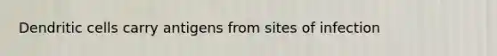 Dendritic cells carry antigens from sites of infection