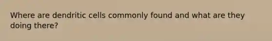 Where are dendritic cells commonly found and what are they doing there?