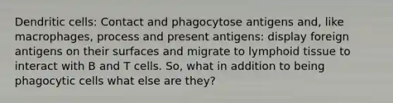 Dendritic cells: Contact and phagocytose antigens and, like macrophages, process and present antigens: display foreign antigens on their surfaces and migrate to lymphoid tissue to interact with B and T cells. So, what in addition to being phagocytic cells what else are they?