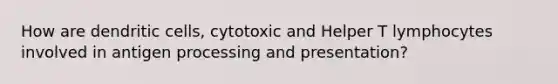 How are dendritic cells, cytotoxic and Helper T lymphocytes involved in antigen processing and presentation?