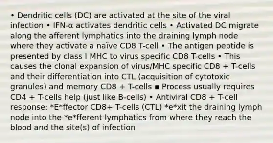 • Dendritic cells (DC) are activated at the site of the viral infection • IFN-α activates dendritic cells • Activated DC migrate along the afferent lymphatics into the draining lymph node where they activate a naïve CD8 T-cell • The antigen peptide is presented by class I MHC to virus specific CD8 T-cells • This causes the clonal expansion of virus/MHC specific CD8 + T-cells and their differentiation into CTL (acquisition of cytotoxic granules) and memory CD8 + T-cells ▪ Process usually requires CD4 + T-cells help (just like B-cells) • Antiviral CD8 + T-cell response: *E*ffector CD8+ T-cells (CTL) *e*xit the draining lymph node into the *e*fferent lymphatics from where they reach the blood and the site(s) of infection