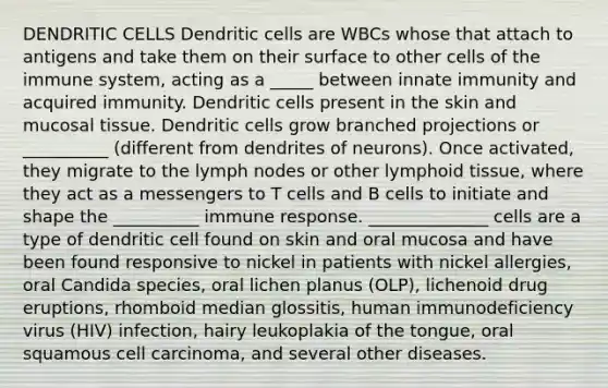 DENDRITIC CELLS Dendritic cells are WBCs whose that attach to antigens and take them on their surface to other cells of the immune system, acting as a _____ between innate immunity and acquired immunity. Dendritic cells present in the skin and mucosal tissue. Dendritic cells grow branched projections or __________ (different from dendrites of neurons). Once activated, they migrate to the lymph nodes or other lymphoid tissue, where they act as a messengers to T cells and B cells to initiate and shape the __________ immune response. ______________ cells are a type of dendritic cell found on skin and oral mucosa and have been found responsive to nickel in patients with nickel allergies, oral Candida species, oral lichen planus (OLP), lichenoid drug eruptions, rhomboid median glossitis, human immunodeficiency virus (HIV) infection, hairy leukoplakia of the tongue, oral squamous cell carcinoma, and several other diseases.