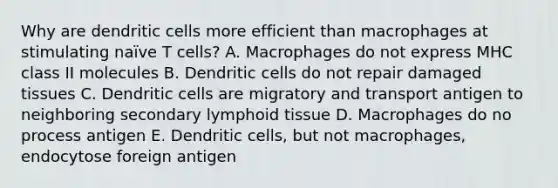 Why are dendritic cells more efficient than macrophages at stimulating naïve T cells? A. Macrophages do not express MHC class II molecules B. Dendritic cells do not repair damaged tissues C. Dendritic cells are migratory and transport antigen to neighboring secondary lymphoid tissue D. Macrophages do no process antigen E. Dendritic cells, but not macrophages, endocytose foreign antigen